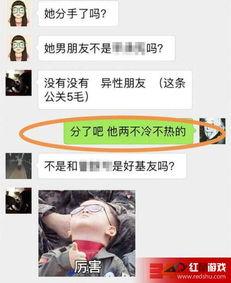 卓伟最新爆料桃花女神,桃花女神神秘身份大揭秘! 第1张 卓伟最新爆料桃花女神,桃花女神神秘身份大揭秘! 第1张