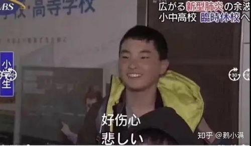 曰日本视频在线观看,揭秘曰日本视频平台 第2张 曰日本视频在线观看,揭秘曰日本视频平台 第2张