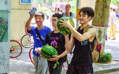 吃瓜学校全集免费,揭秘校园风云，笑料百出的青春岁月  第1张